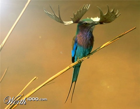 Photoshop Design by lonnadev