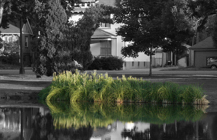 Photography by Pelican for DesignCrowd (Community Contests) | Design #9073404