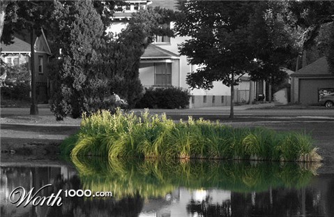 Photography by Pelican