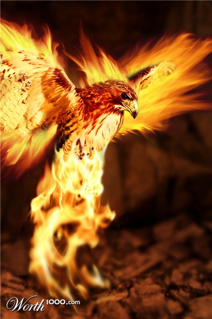 Photoshop Design by yamaneko