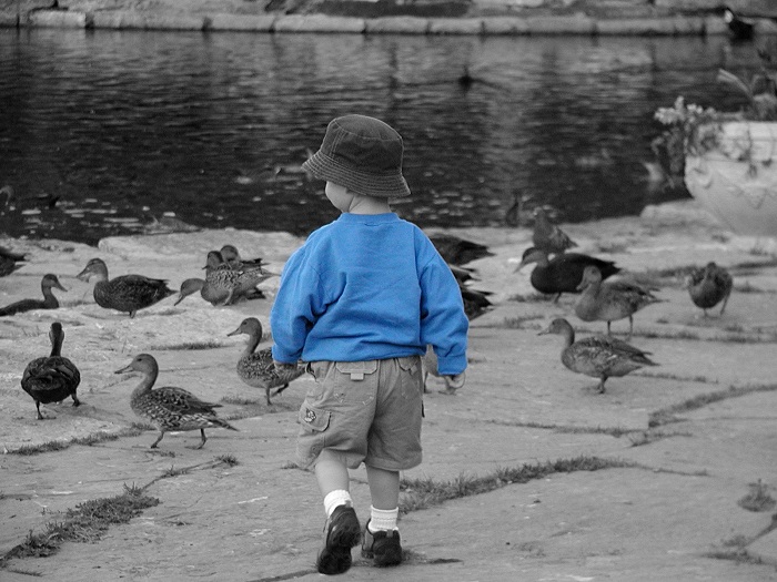 Photographie par KarenC pour DesignCrowd (Community Contests) | Design #9073398