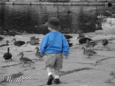 Photography by KarenC