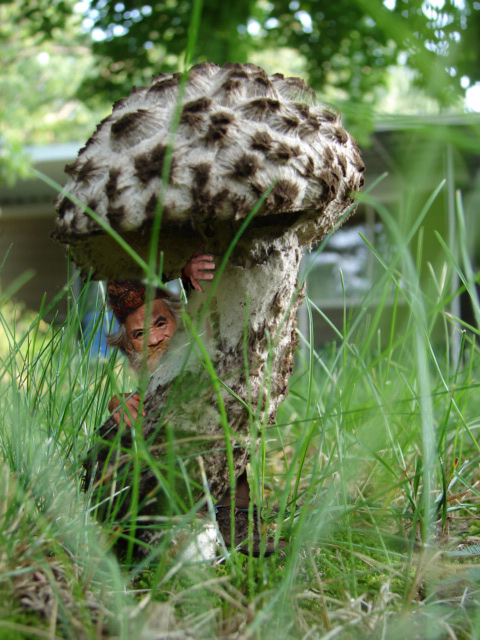 Photoshop-Design von midian für DesignCrowd (Community Contests) | Design #9077790