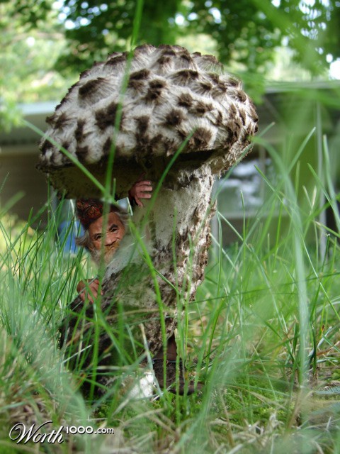 Photoshop Design by midian