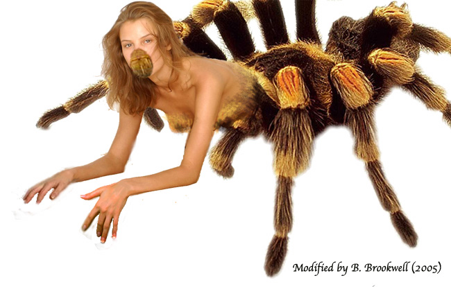 Photoshop Design by Mertail for DesignCrowd (Community Contests) | Design #9077751