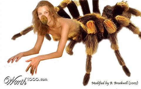 Photoshop Design by Mertail