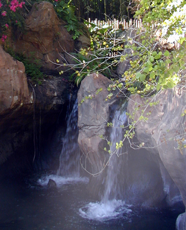 Photography by sunnymitsu for DesignCrowd (Community Contests) | Design #9072123