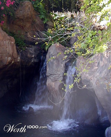 Photography by sunnymitsu