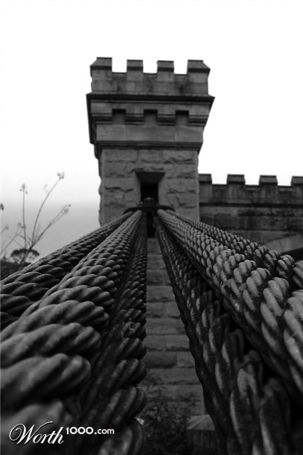 Photography by deadheading