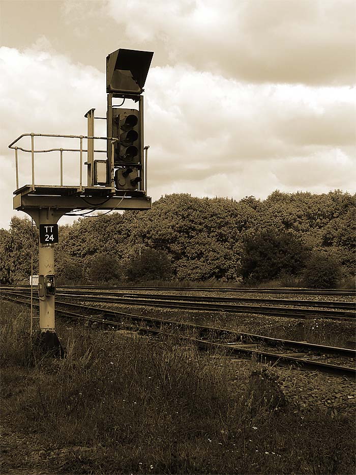 Fotografía por AceClown para DesignCrowd (Community Contests) | Diseño #9072884