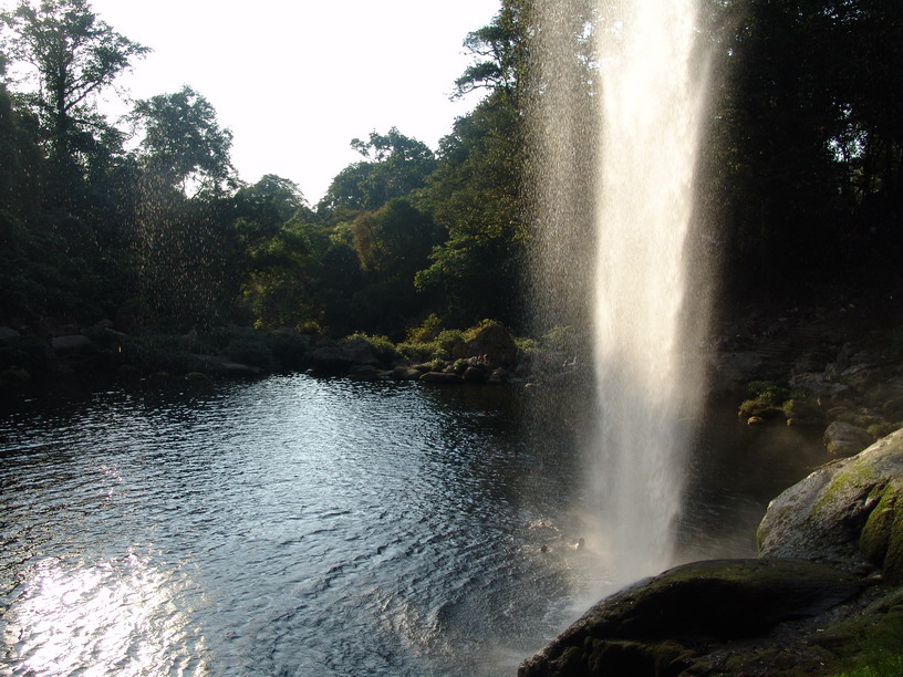 Fotografía por lezard para DesignCrowd (Community Contests) | Diseño #9072131