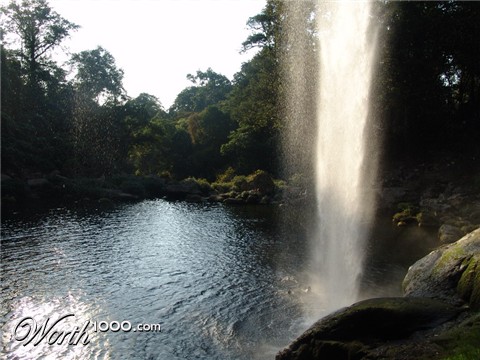 Photography by lezard