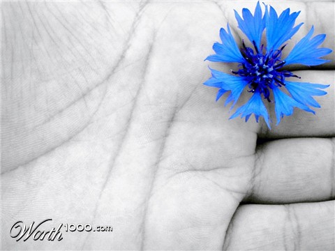 Photography by elatha