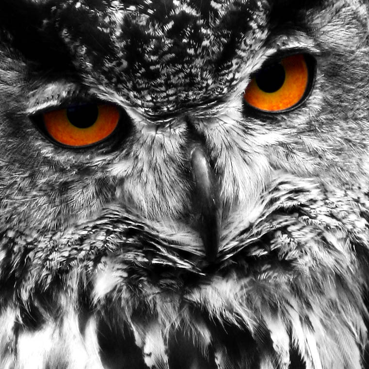 Photography by SigloV for DesignCrowd (Community Contests) | Design #9073452