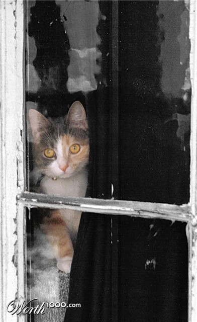 Photography by faeriefly__