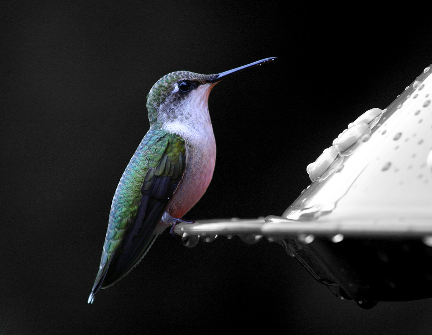 Photography by Stevo26 for DesignCrowd (Community Contests) | Design #9073464