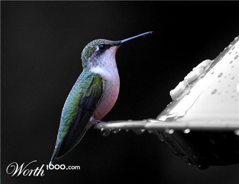 Photography by Stevo26