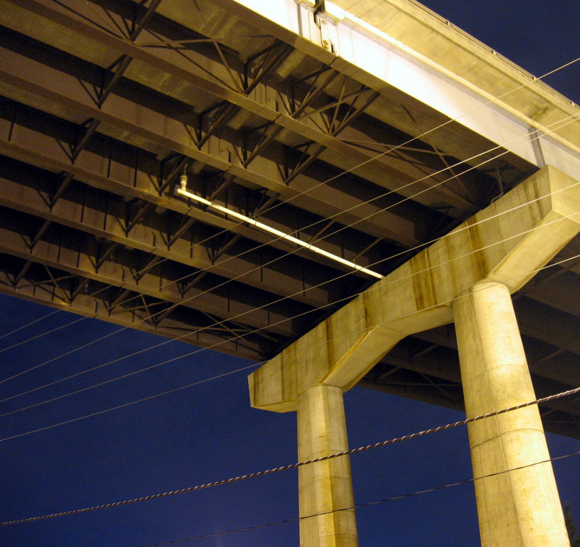 Photography by Tygurtar for DesignCrowd (Community Contests) | Design #9072914