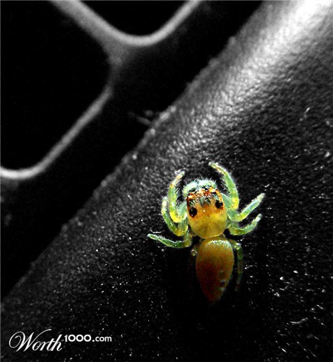 Photography by ozplasmic