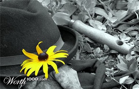 Photography by enigknot