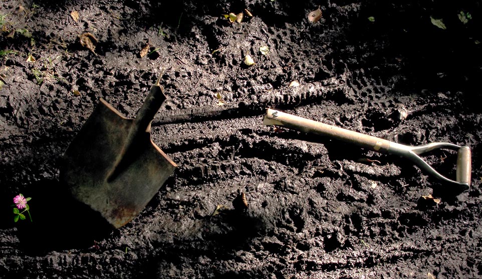 Photography by meerkat2 for DesignCrowd (Community Contests) | Design #9077470