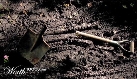 Photography by meerkat2