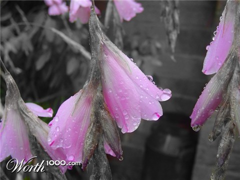 Photography by Flibble