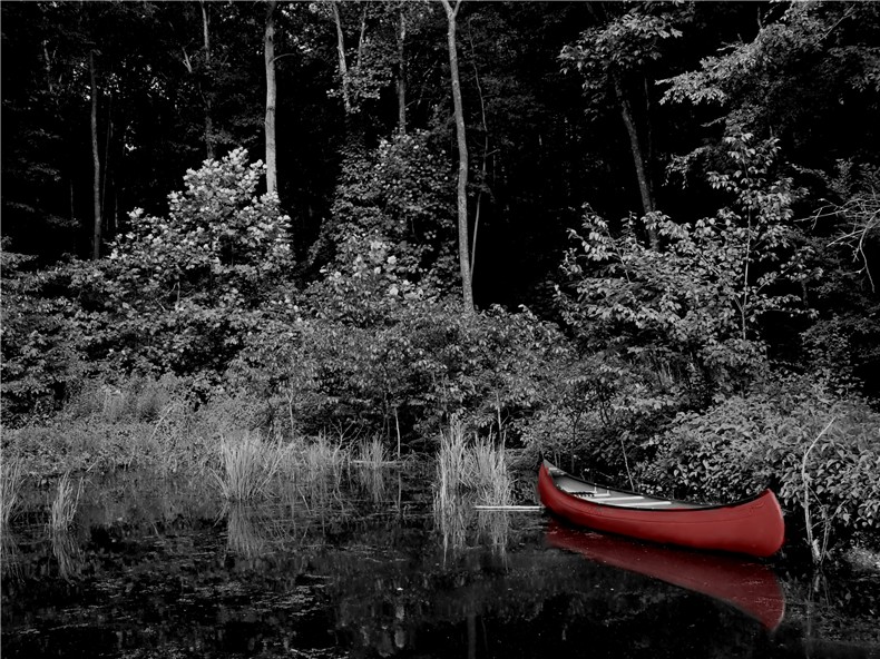 Photographie par modine pour DesignCrowd (Community Contests) | Design #9073457