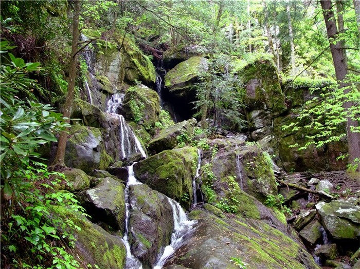 Photographie par modine pour DesignCrowd (Community Contests) | Design #9072157