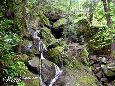 Photography by modine