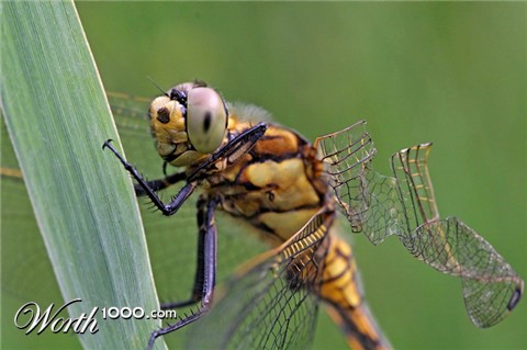 Photography by klemmg