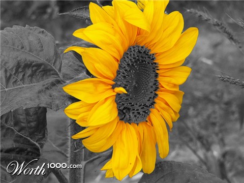 Photography by TremeX