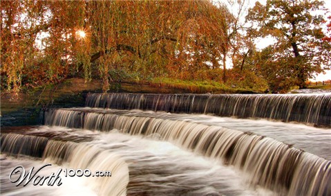 Photography by wiggster