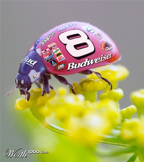 Photoshop Design by kito33