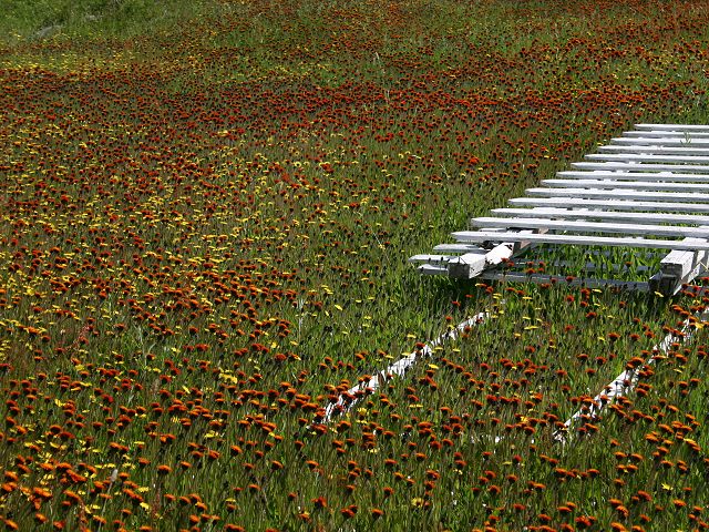 Photography by KarenC for DesignCrowd (Community Contests) | Design #9077443