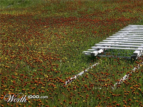 Photography by KarenC