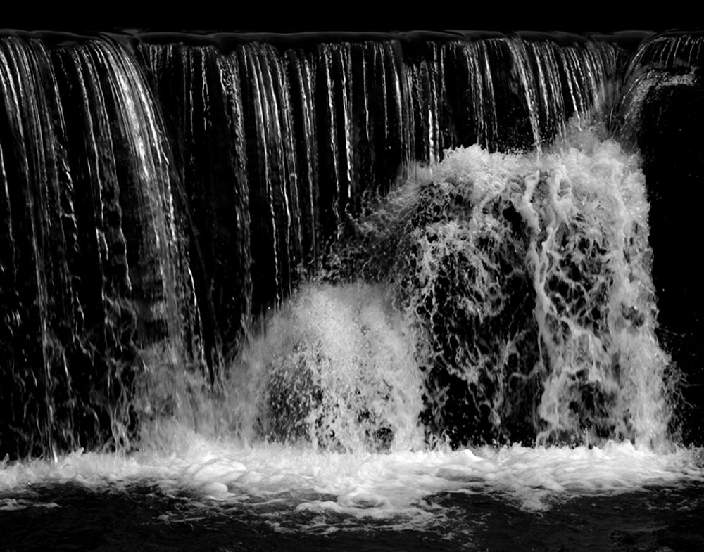 Photography by binkyat3 for DesignCrowd (Community Contests) | Design #9072213