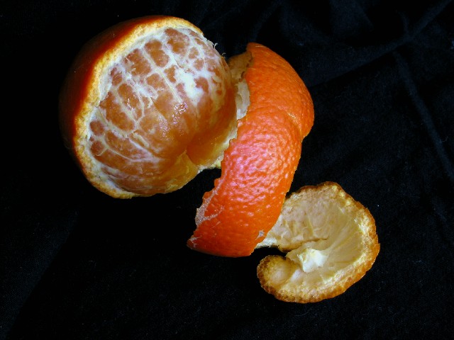 Photography by sns1953 for DesignCrowd (Community Contests) | Design #9071372