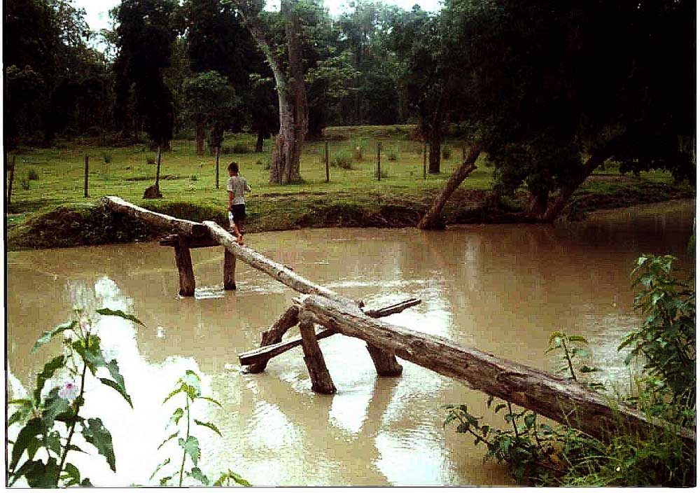 Fotografía por vgmn1956 para DesignCrowd (Community Contests) | Diseño #9072898