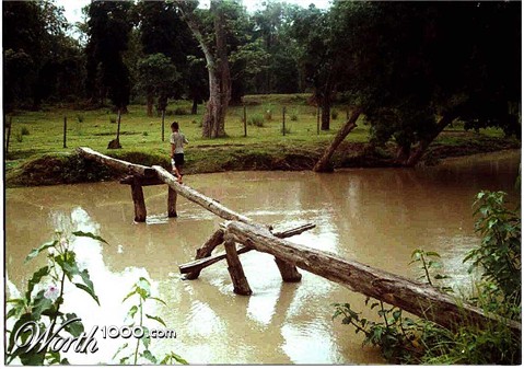 Photography by vgmn1956