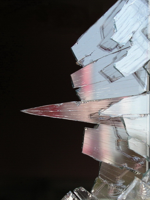 Photography by mzmzmzmz for DesignCrowd (Community Contests) | Design #9077447