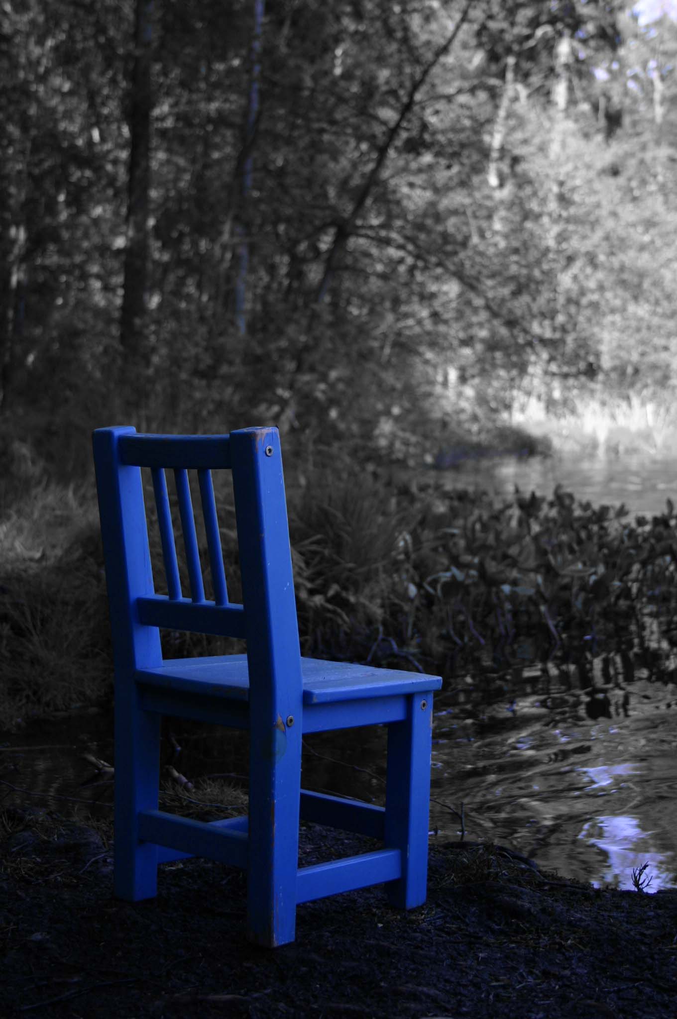 Photography by EmilBanck for DesignCrowd (Community Contests) | Design #9073497