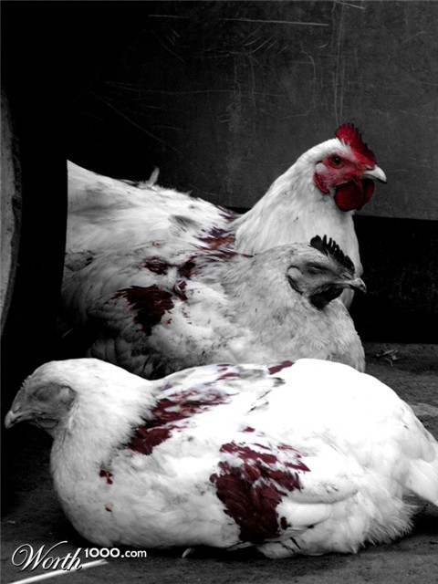 Photography by pitythestupid