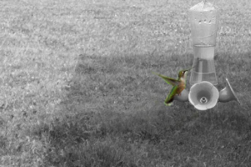 Photographie par niibiishan pour DesignCrowd (Community Contests) | Design #9073706