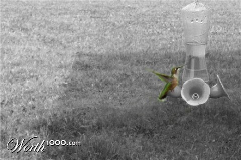 Photography by niibiishan