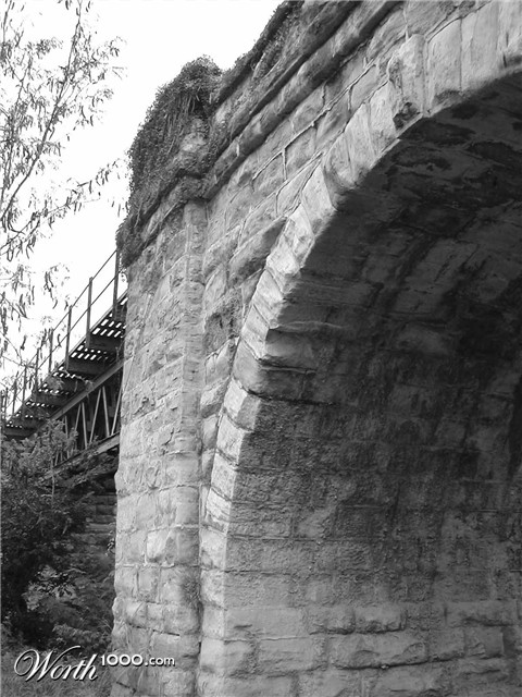 Photography by Jellybellybeans