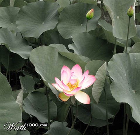 Photography by UPUPUP