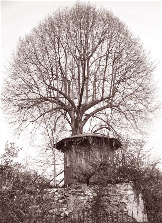 Photography by Chupakabra for DesignCrowd (Community Contests) | Design #9072992