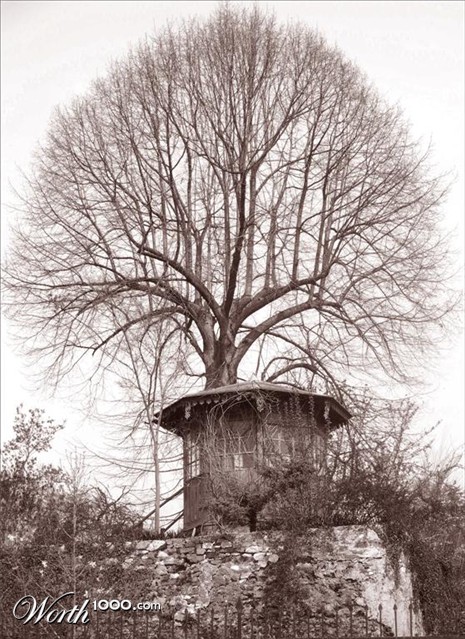 Photography by Chupakabra