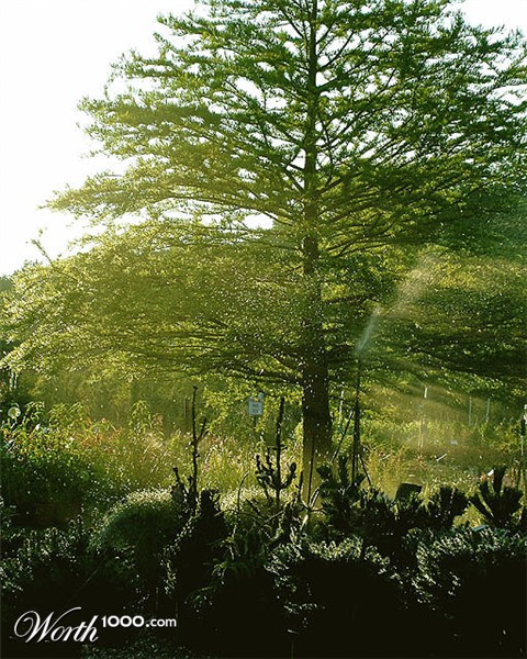 Photography by LADPUPMOE